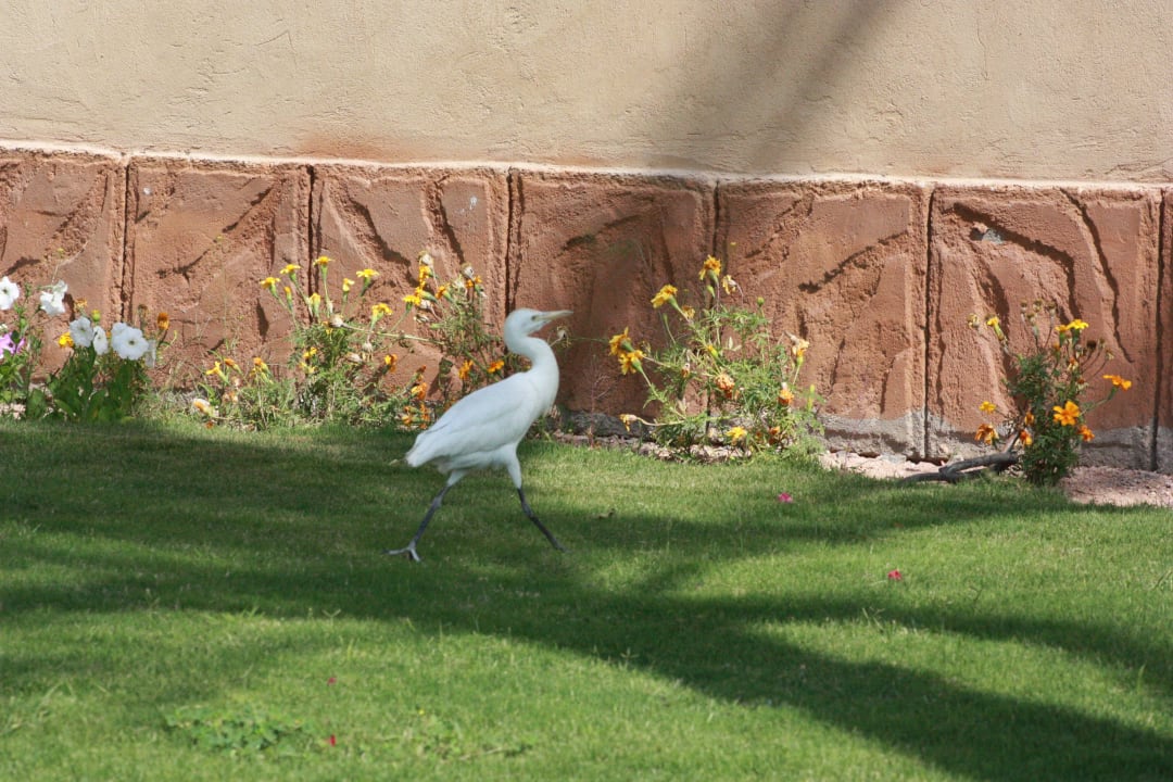 Красота! Regency Plaza Aqua Park & Spa