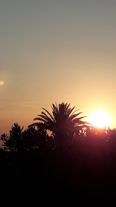 Ausblick TUI BLUE Oceanis Beach and Spa Resort