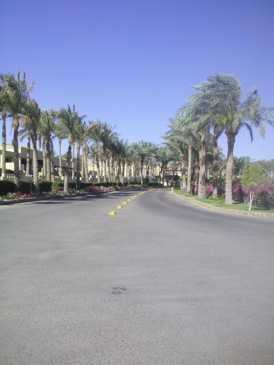 Zufahrt vom Resort-Eingang zum Hauptgebäude Coral Sea Holiday Village