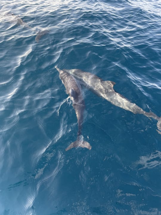 Sport & Freizeit Cinnamon Dhonveli Maldives