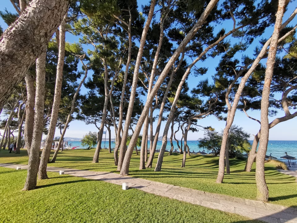 Ausblick Iberostar Waves Playa de Muro