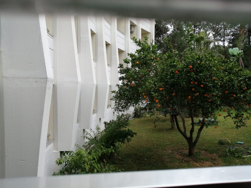 Gartenanlage Side Alegria Hotel & Spa - Adults only +16