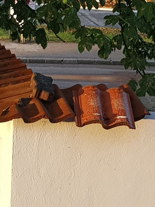 Sonstiges Pension Casa Topolino