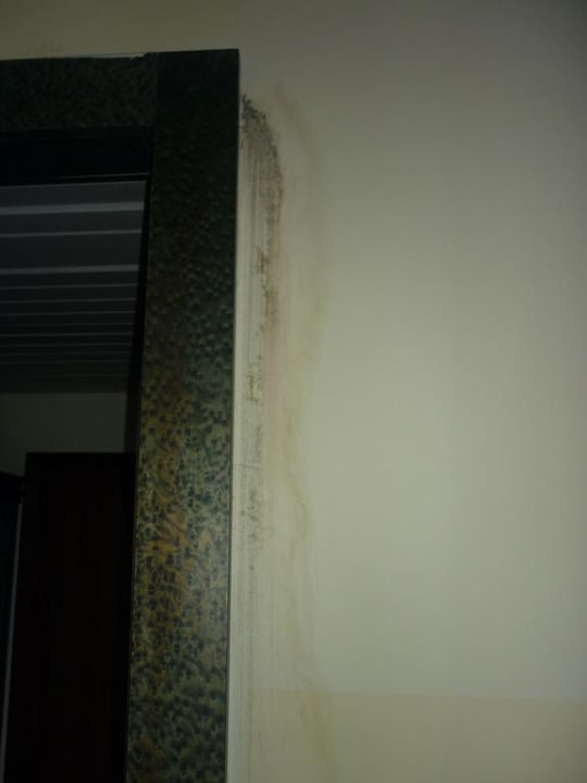 Schimmel Hotel Internazionale