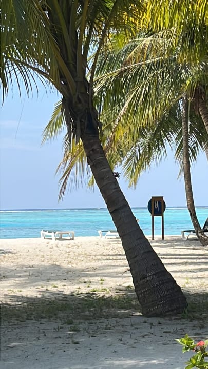 Strand Meeru Maldives Resort Island