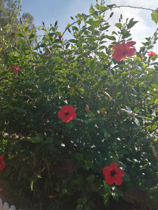 Gartenanlage Aldiana Club Rocca Nettuno Calabria