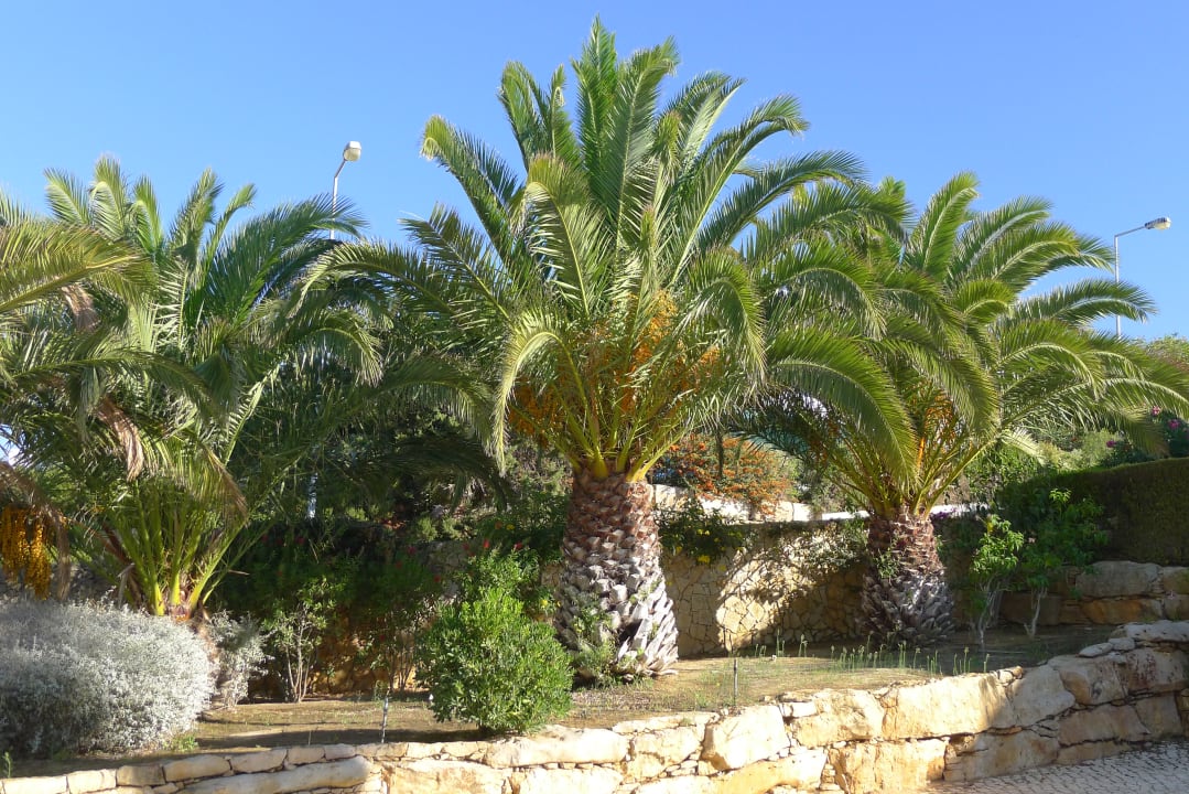 Außenansicht Hotel Clube Porto Mos