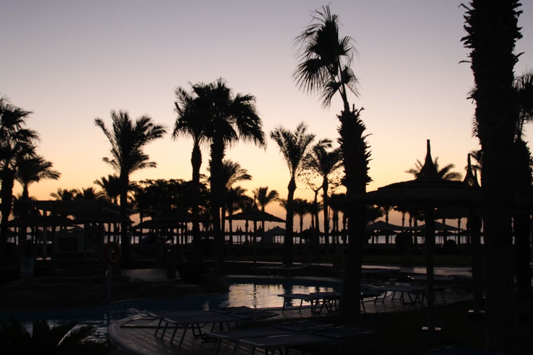 Pool Pickalbatros Palace Resort
