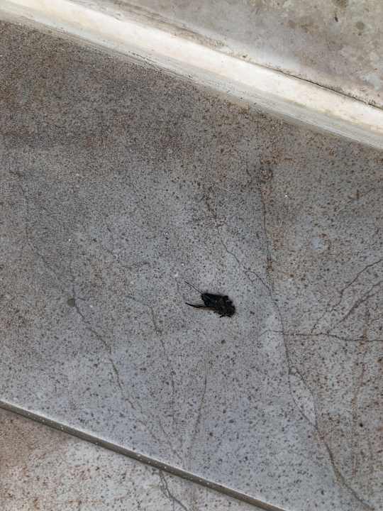 Sonstiges Karya Family Resort  All Inclusive