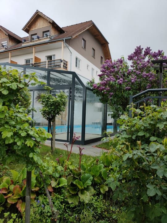 Pool Hotel Schwengerer