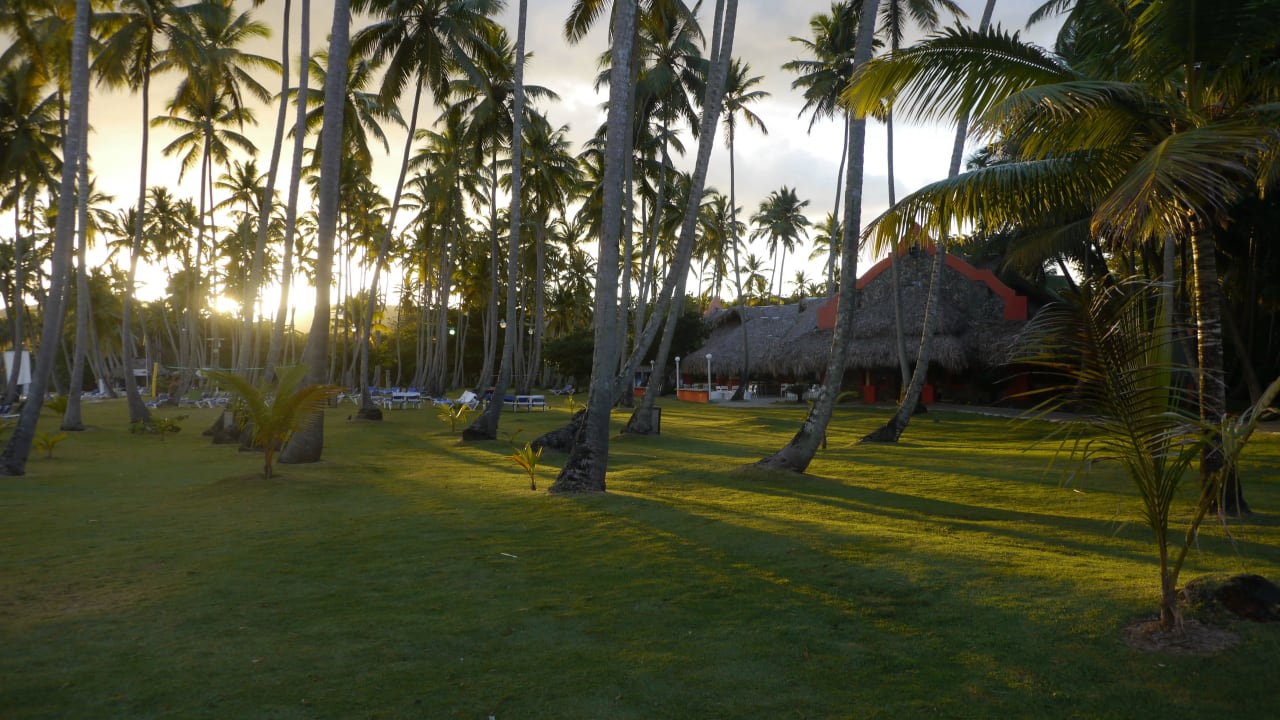 Garten Wyndham Alltra Samana