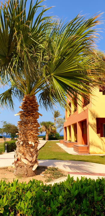 Gartenanlage Malikia Resort Abu Dabbab