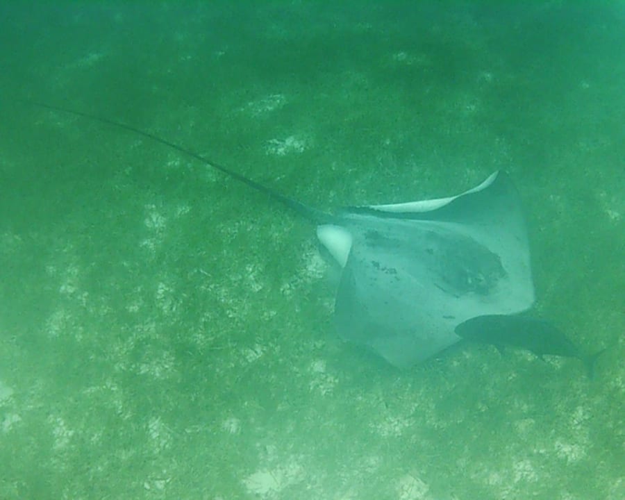 Meer Kuredu Island Resort & Spa