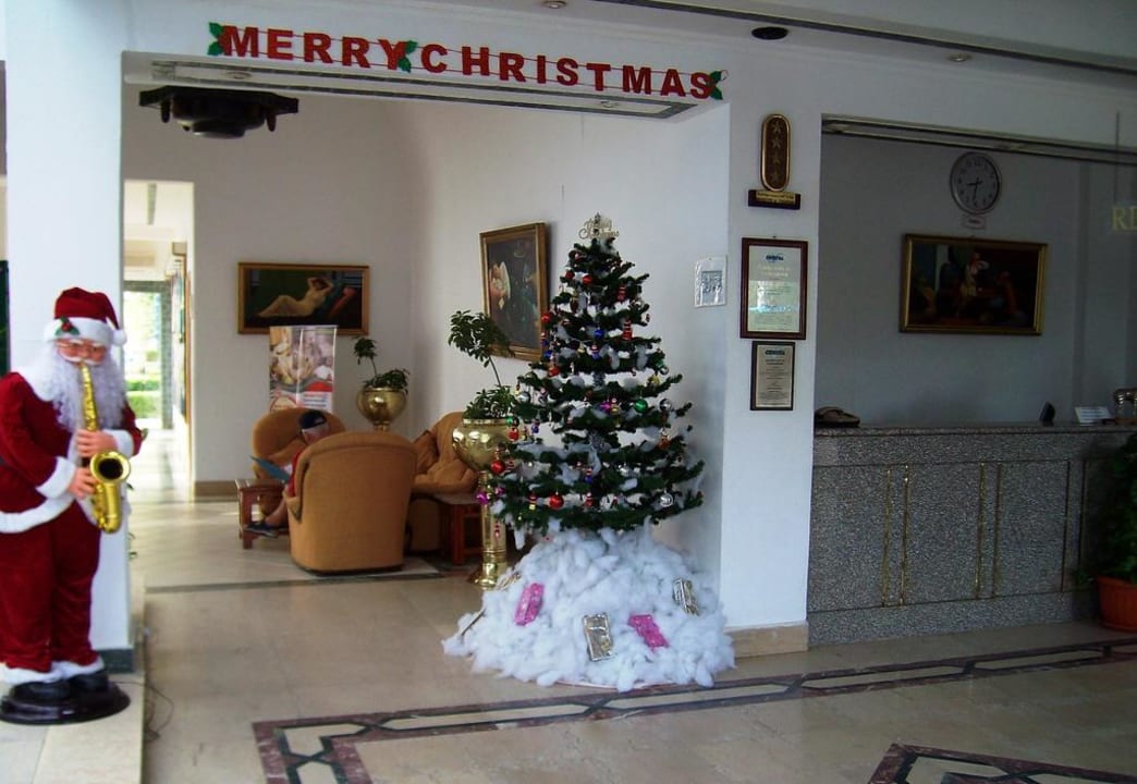 Merry Christmas Albatros Sharm Resort