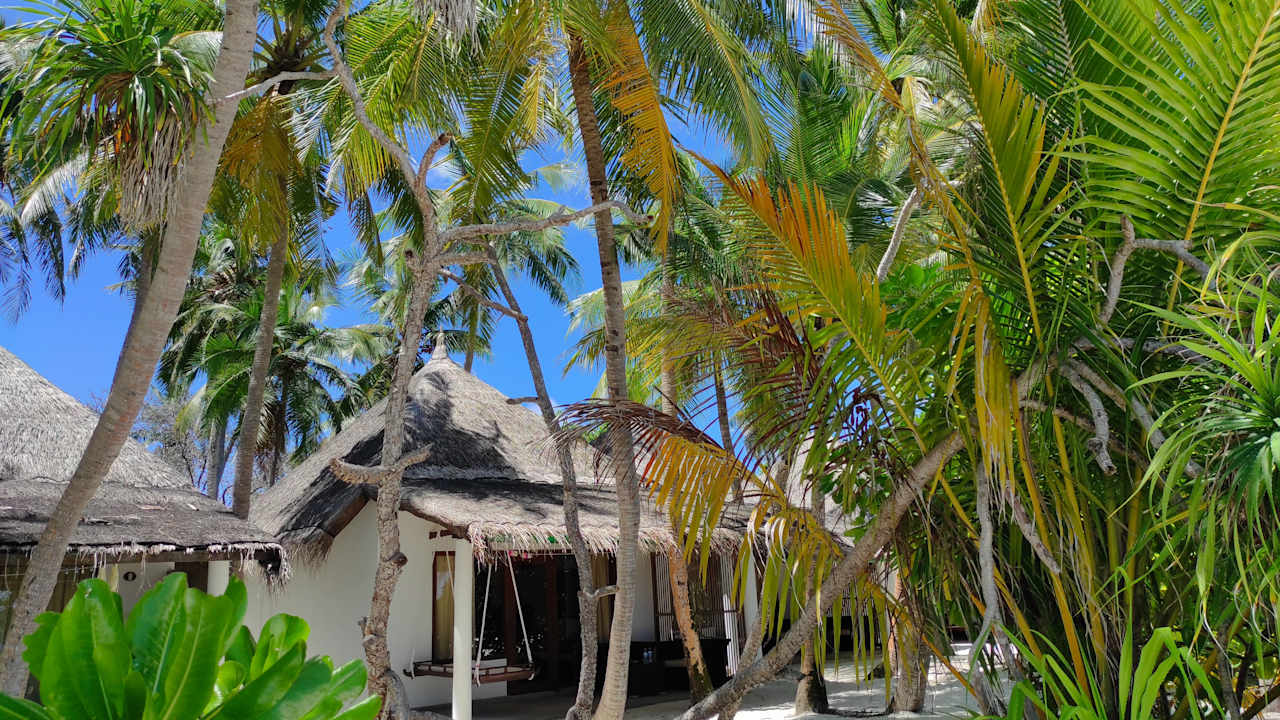 Gartenanlage Angaga Island Resort