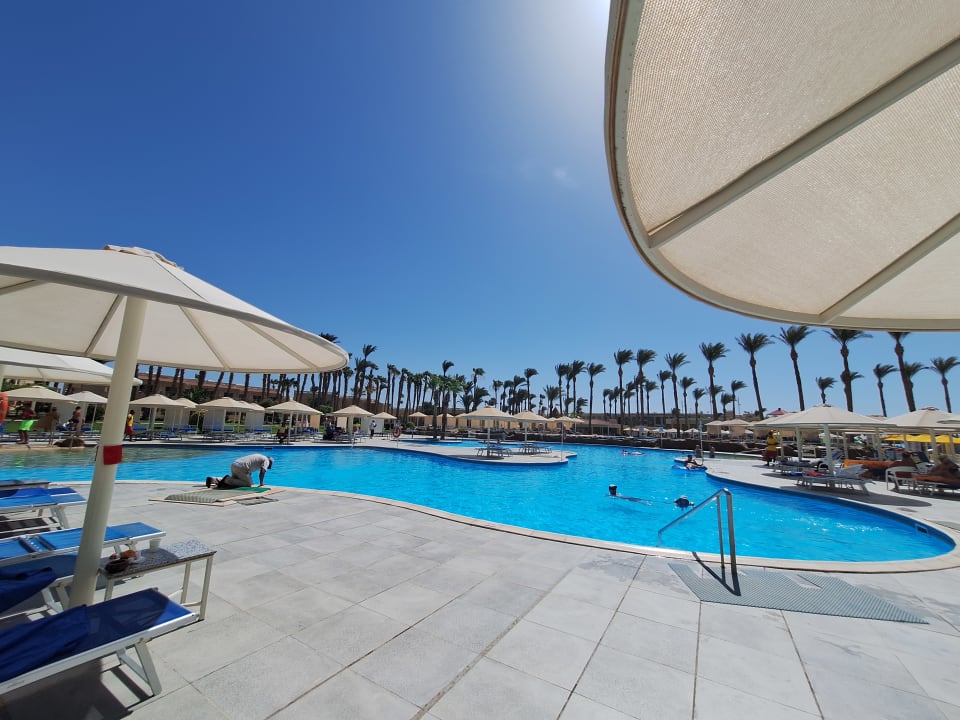 Pool Beach Albatros Resort