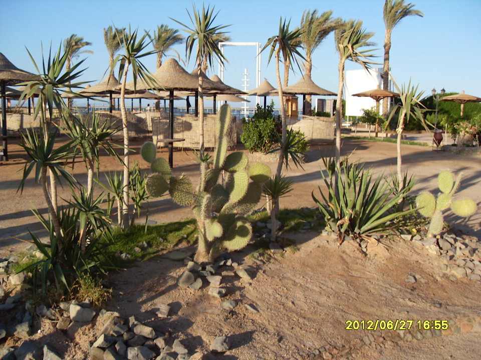 "Początek plaży" Le Jardin Aqua Park Resort