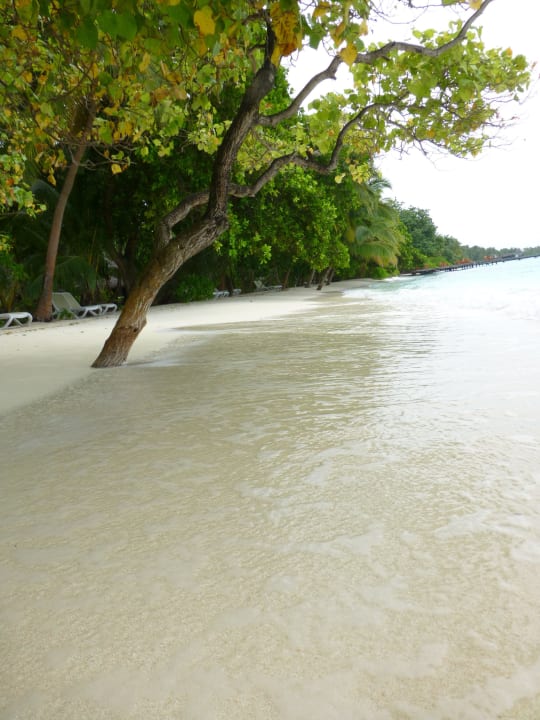 Lagunenseite Kuramathi Maldives