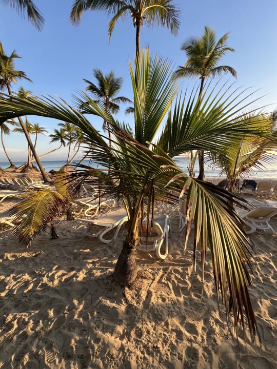 Strand Hotel Riu Palace Bavaro