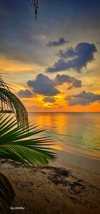 Ausblick Kuredu Island Resort & Spa