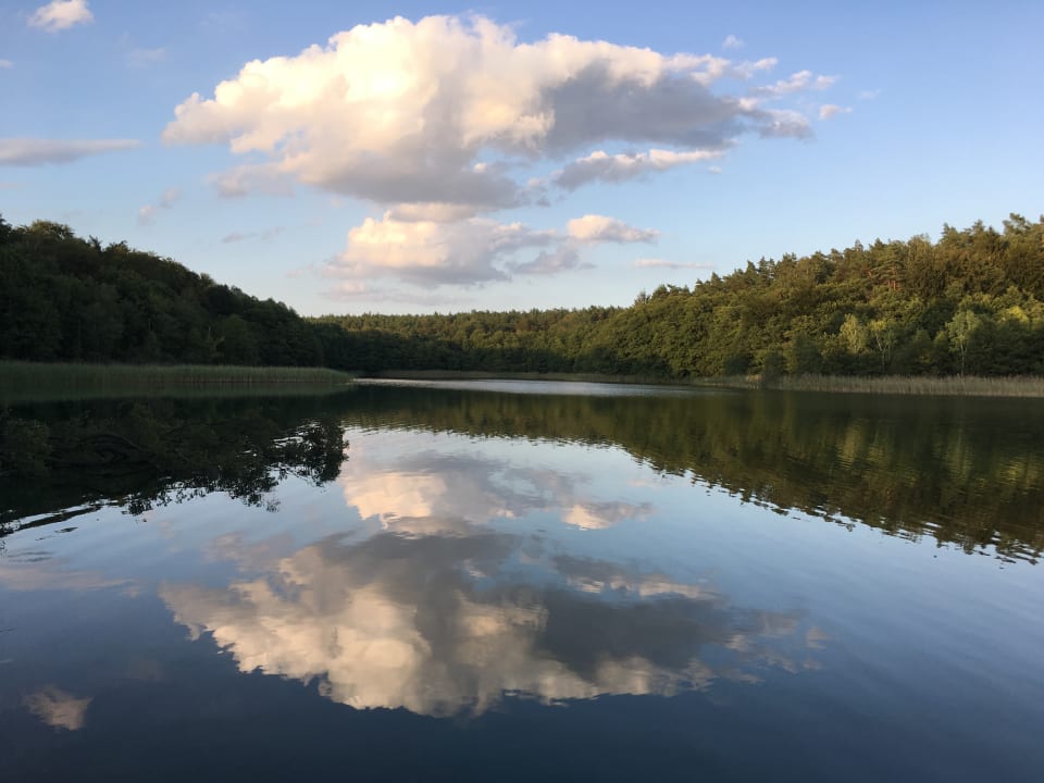 Ausblick Hotel Jagdschloss Waldsee