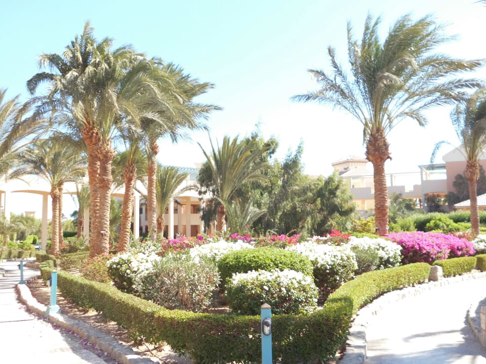 Gartenanlage Mövenpick Resort & Spa El Gouna