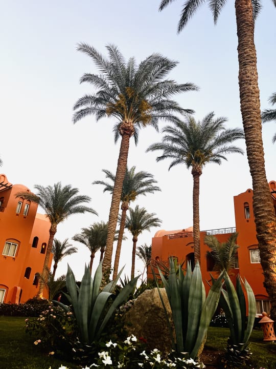 Gartenanlage Jaz Makadi Oasis Resort