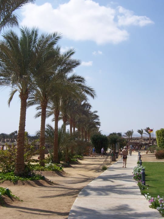 Hotel Iberotel Coraya Beach Steigenberger Coraya Beach - Adults only