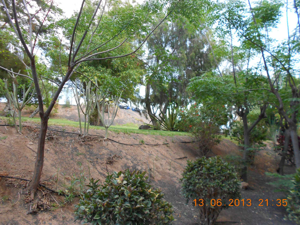 Ausblick vom Zimmer in den Garten allsun App.-Hotel Esquinzo Beach