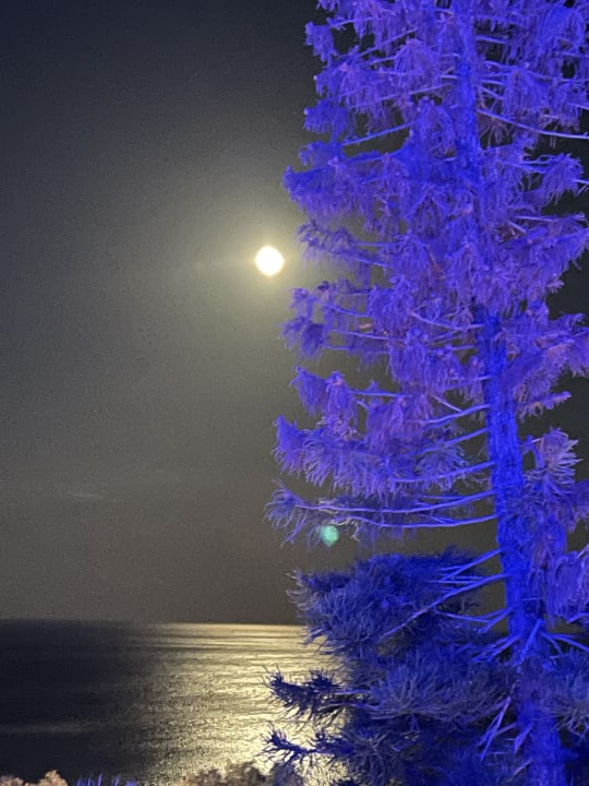 Ausblick Hotel Calypso Beach