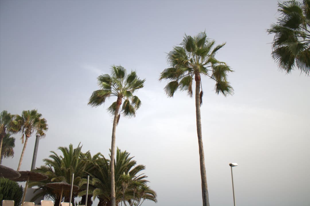 Pool Hotel Riu Arecas - Adults only