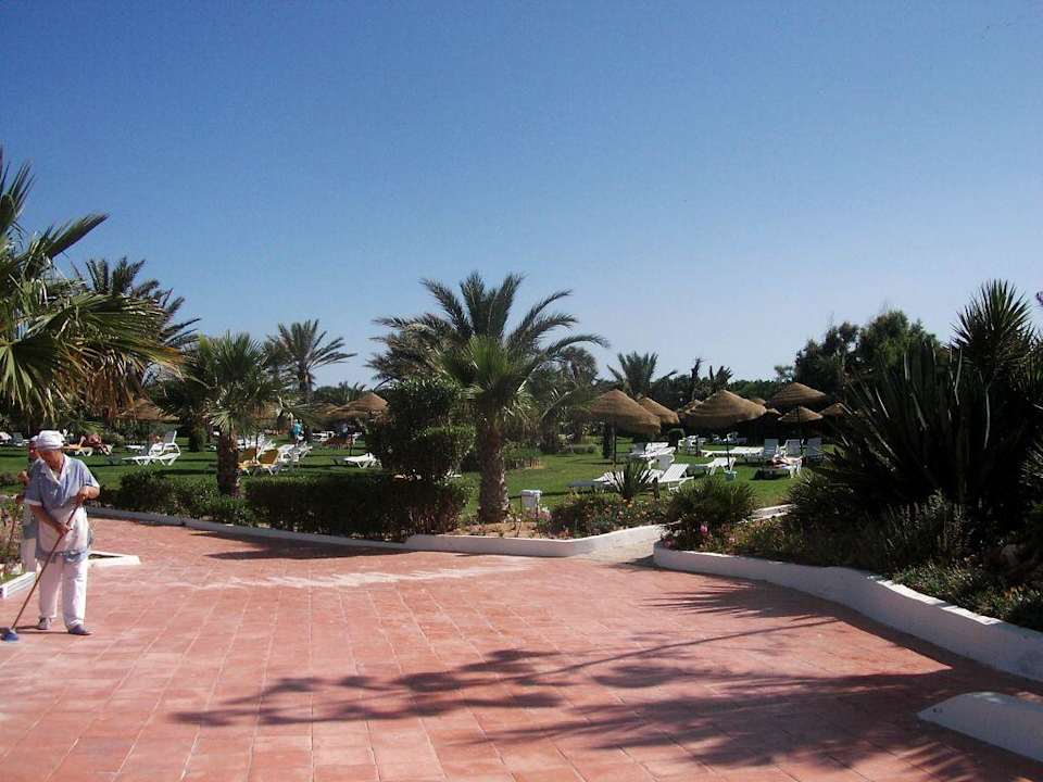 Gartenanlage hinter dem Pool Hotel Rosa Beach