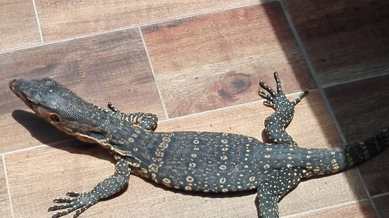 Gecko Khao Lak Bayfront Resort