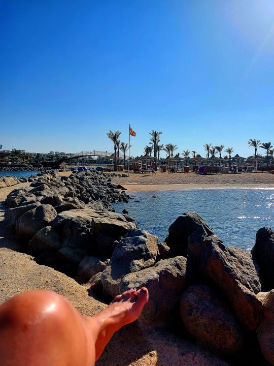 Ausblick Desert Rose