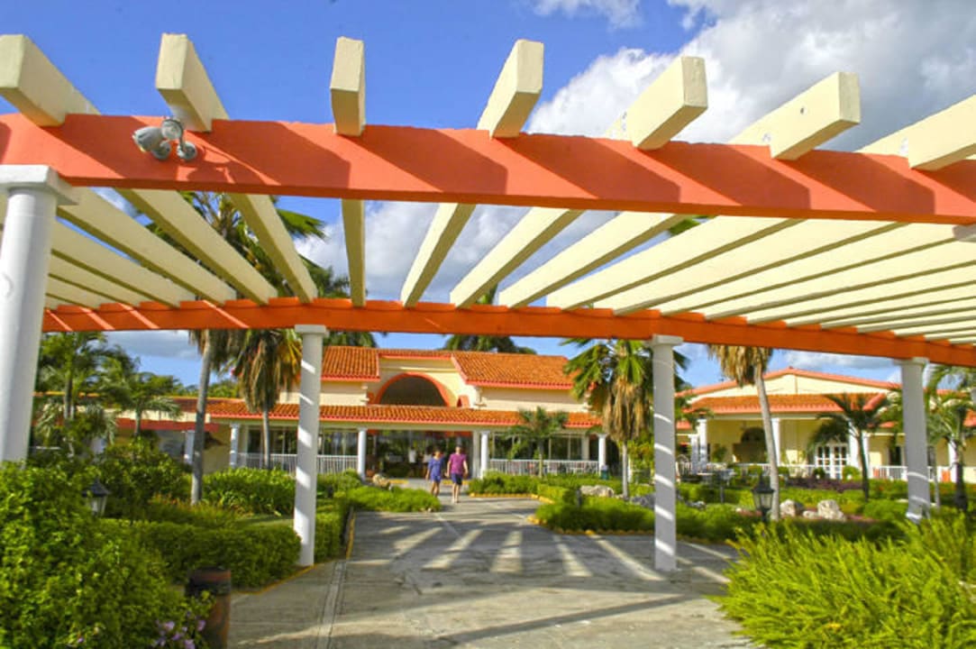 Garden Starfish Cayo Guillermo