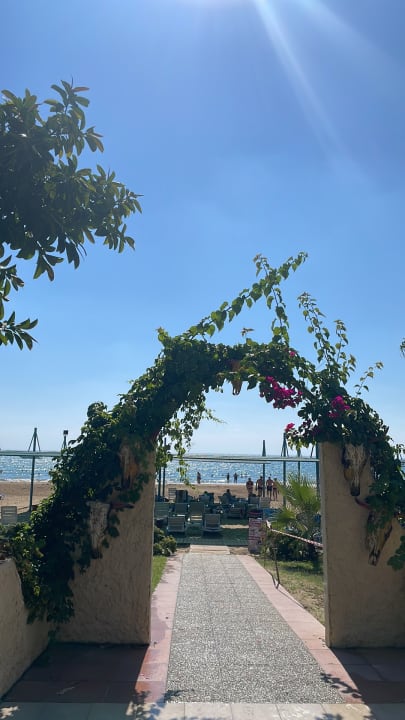Ausblick Iz Flower Side Beach Hotel