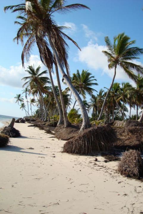 Strand Catalonia Punta Cana - All Inclusive