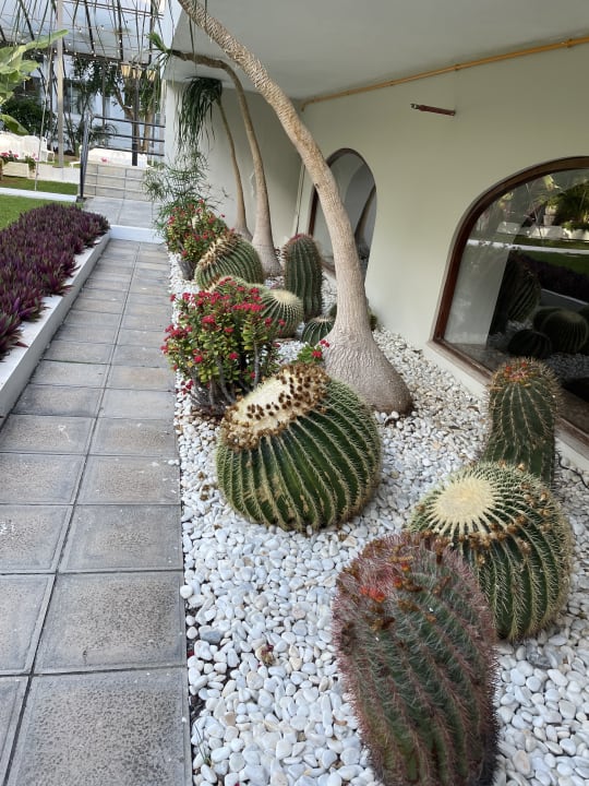 Außenansicht Hotel ValleMar