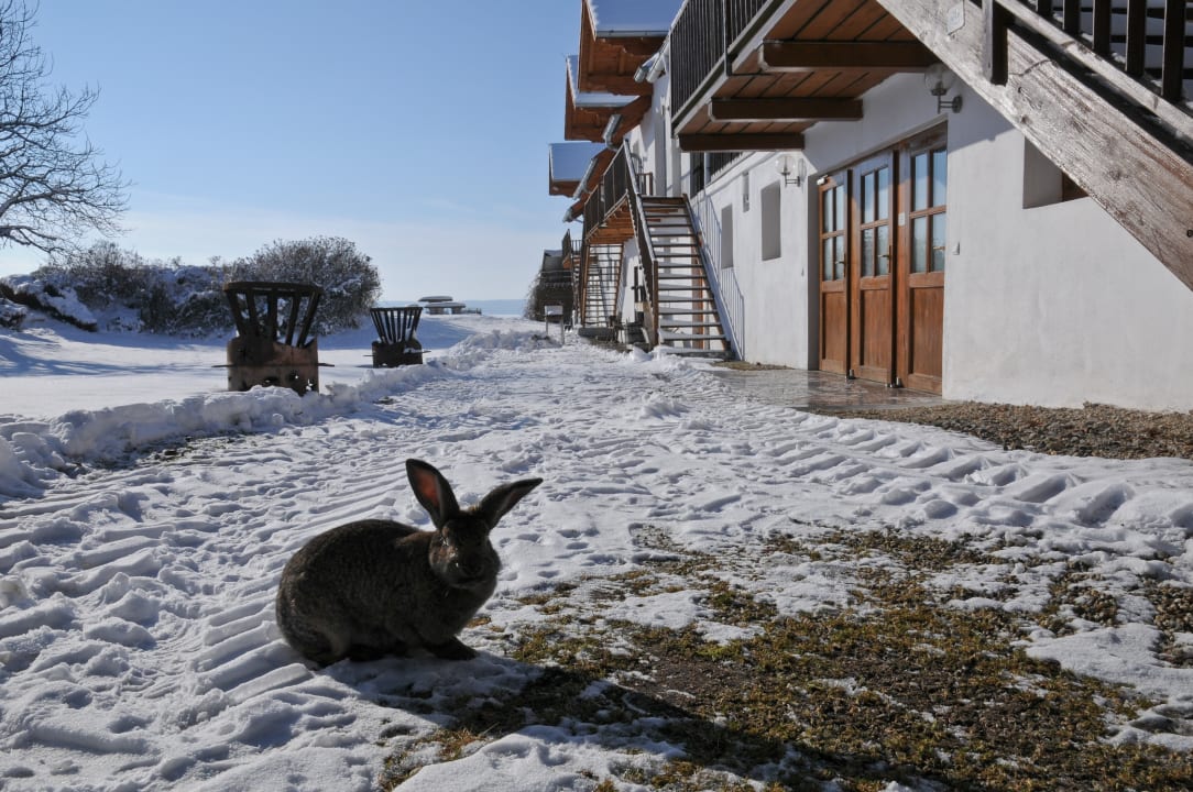 Sonstiges Geinberg Suites