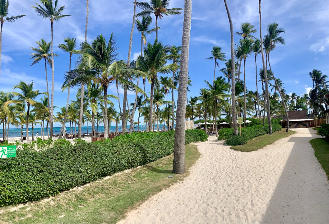 Gartenanlage Dreams Royal Beach Punta Cana