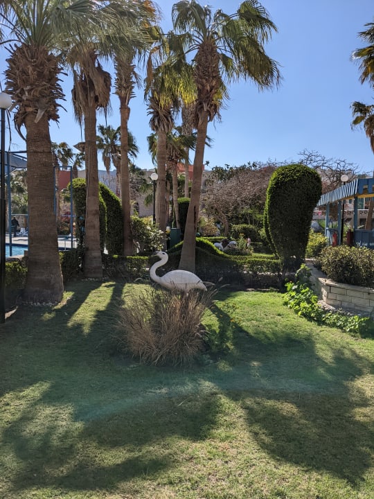Gartenanlage Arabia Azur Resort