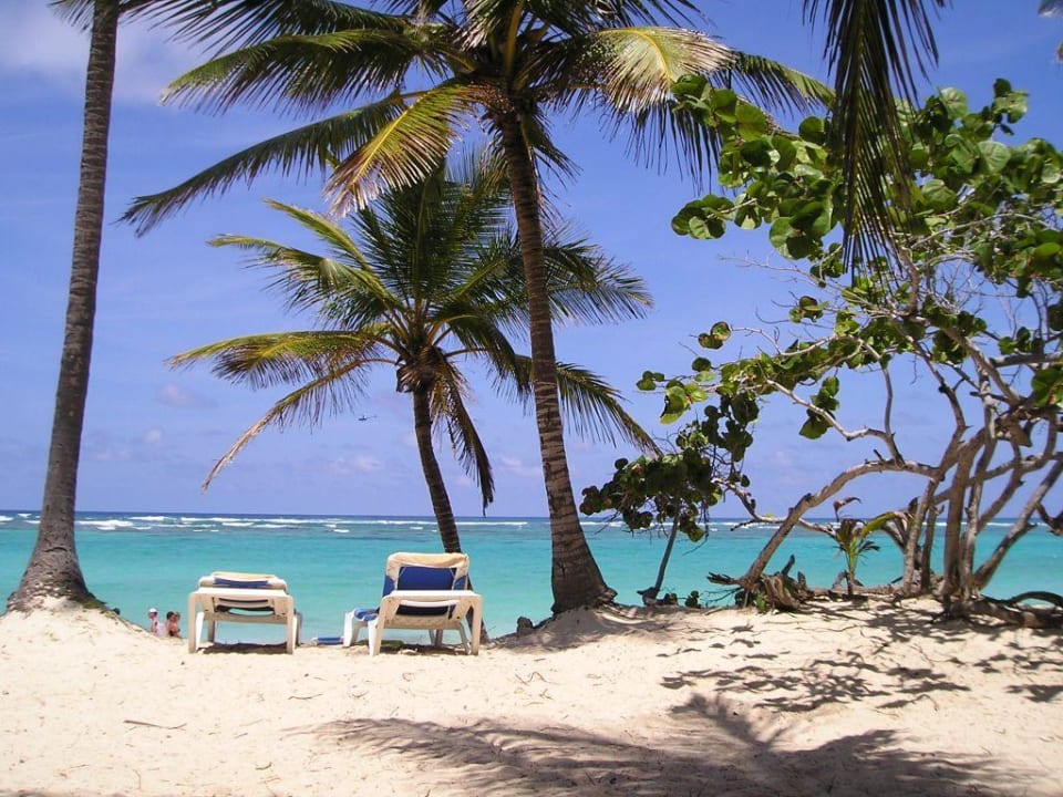 Traumliegen Hotel Riu Palace Bavaro