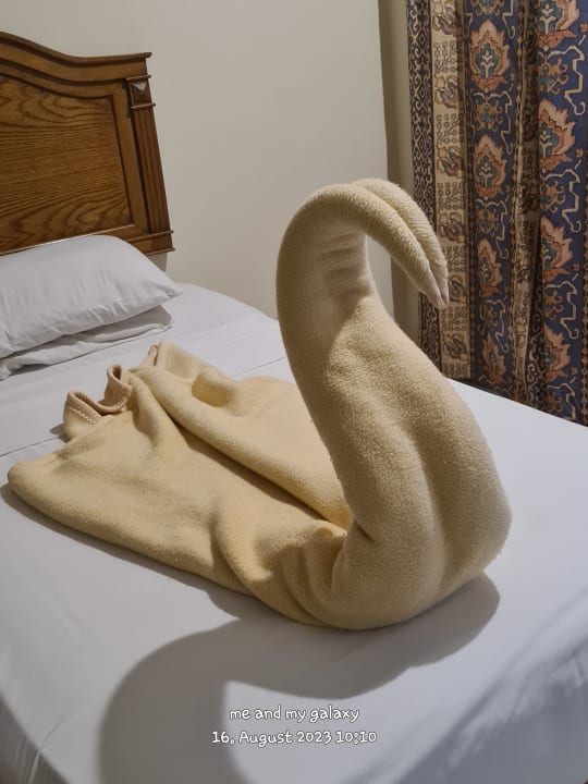 Zimmer Shams Safaga Resort