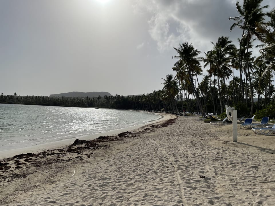 Strand Wyndham Alltra Samana