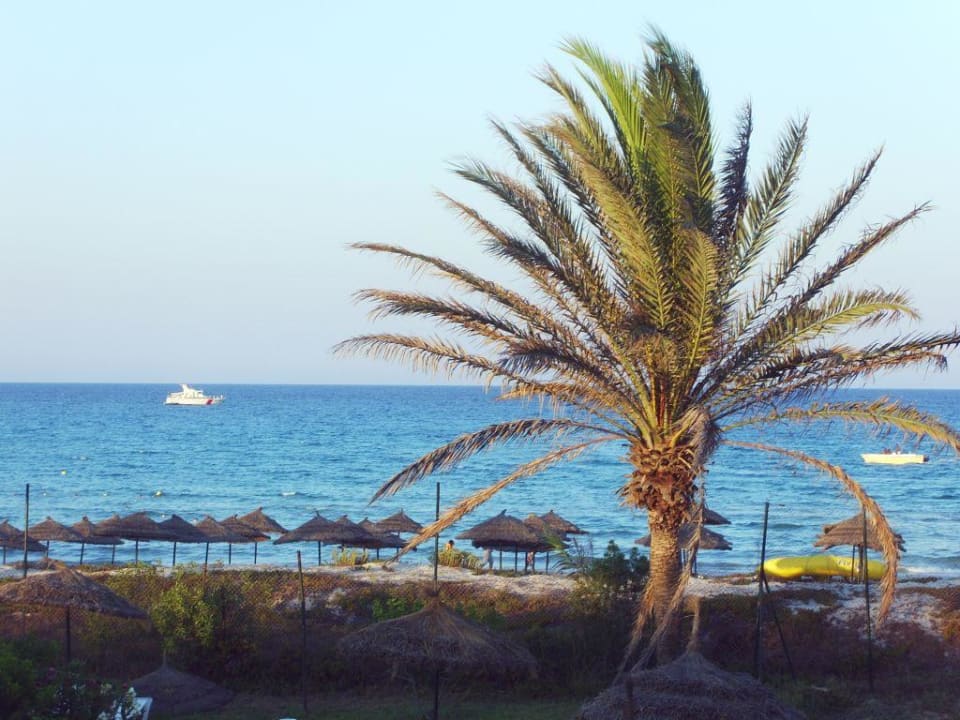 Ausblick vom Zimmer 250. Mahdia Beach & Aquapark
