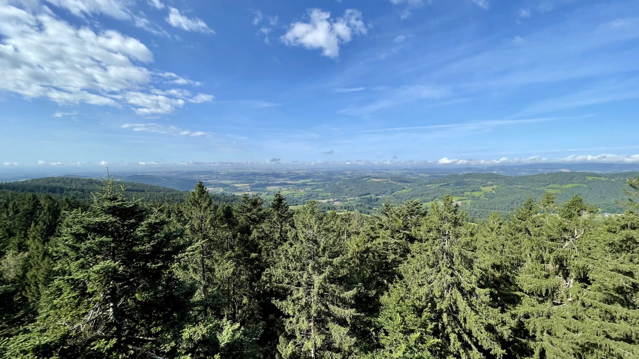 Ausblick Hotel Reinerhof