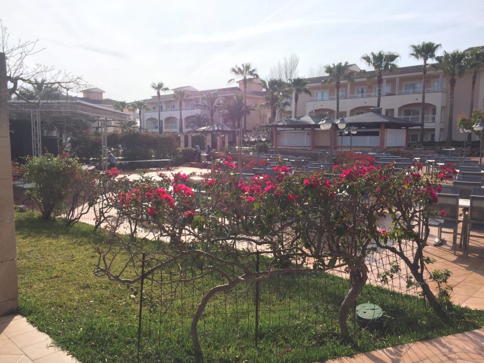 Playa Garden Selection Hotel & Spa Playa Garden Selection Hotel & Spa