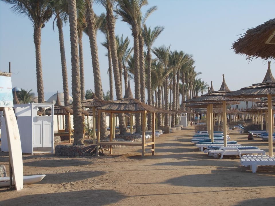 Dana Beach Strand Pickalbatros Dana Beach Resort - Hurghada