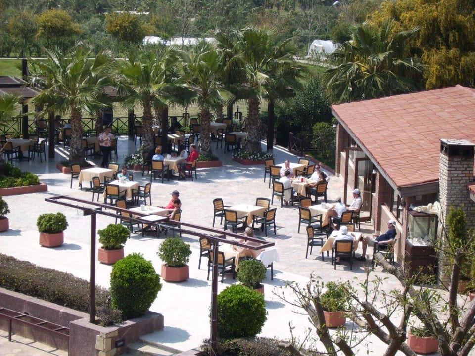 Alba Resort Poolbar Alba Resort Hotel