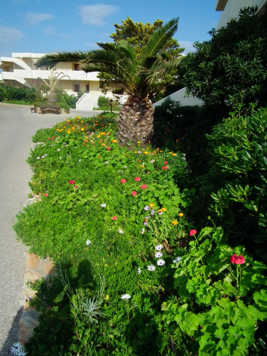 Sehr gepflegte Gartenanlage Hotel Kalithea Horizon Royal